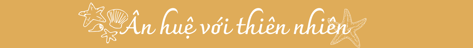 2(3).png