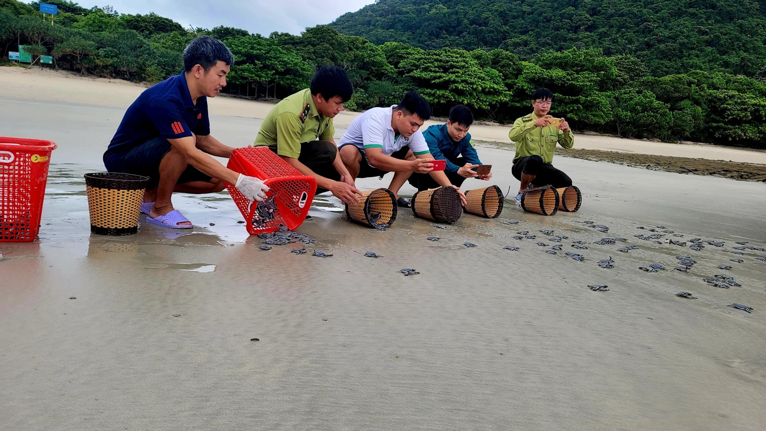 2.3.-nhung-chu-rua-no-dip-gan-cuoi-nam-o-hon-bay-canh-vqg-con-dao.jpg
