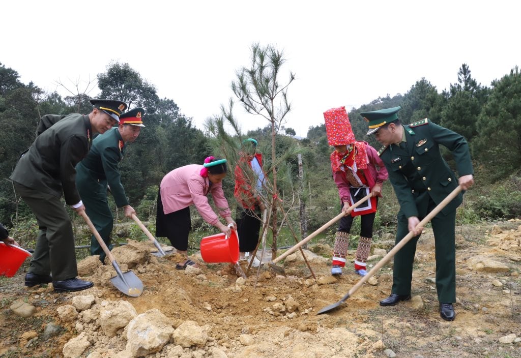 anh-qn-10.jpg