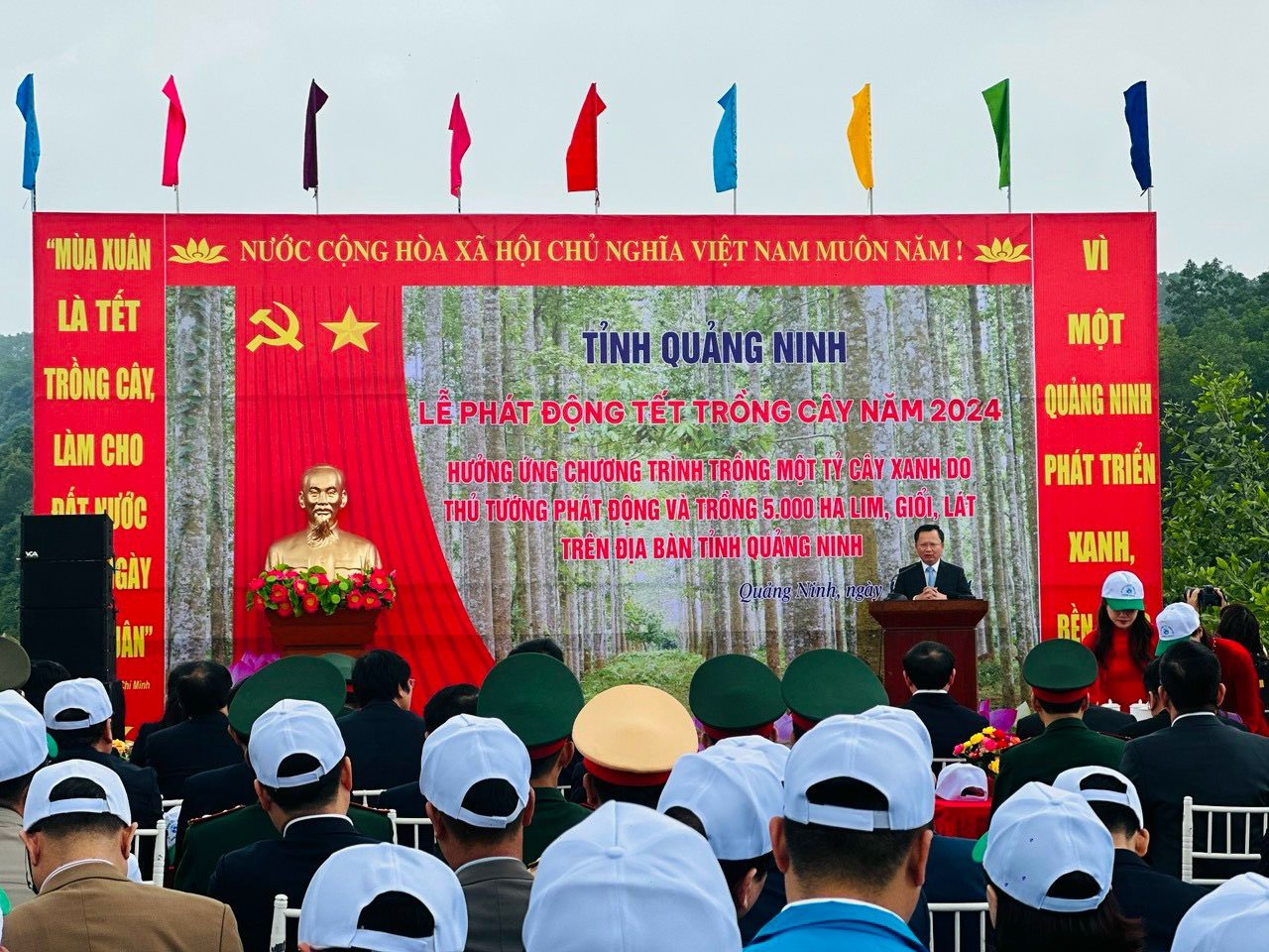 anh-qn-12.jpg