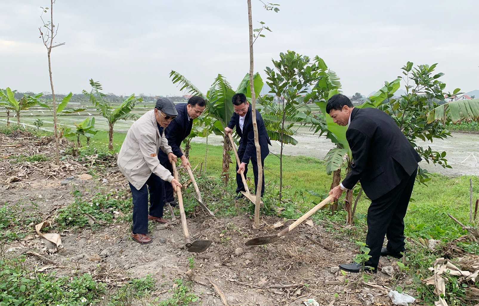 anh-qn-14.jpg