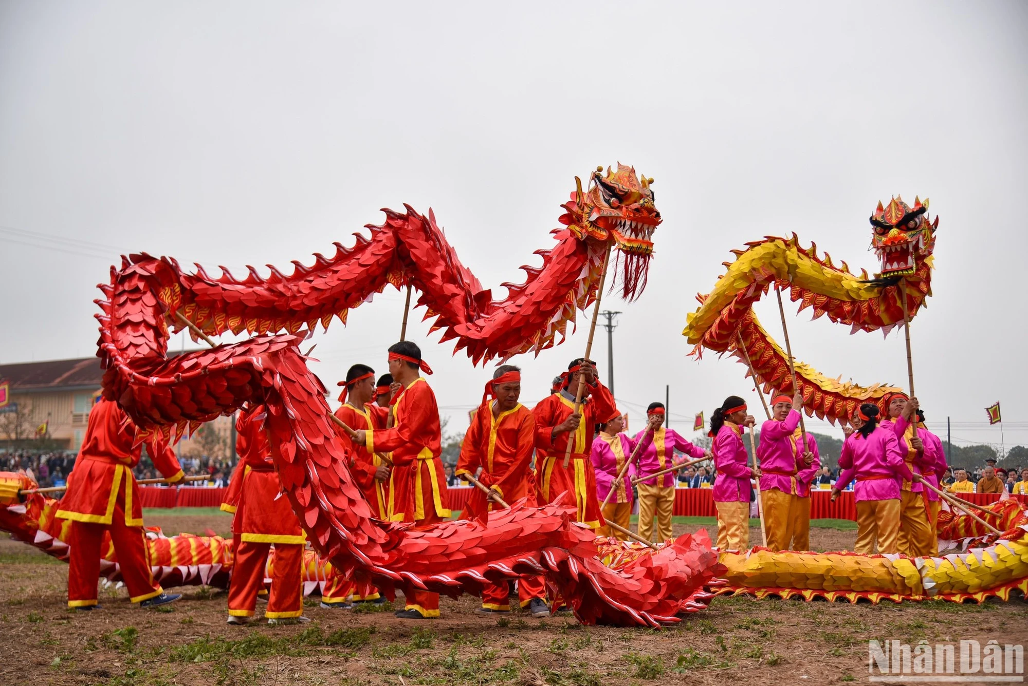 [Ảnh] Tái hiện hình ảnh Nhà Vua xuống ruộng đi cày trong Lễ hội Tịnh điền Đọi Sơn 2024 ảnh 5