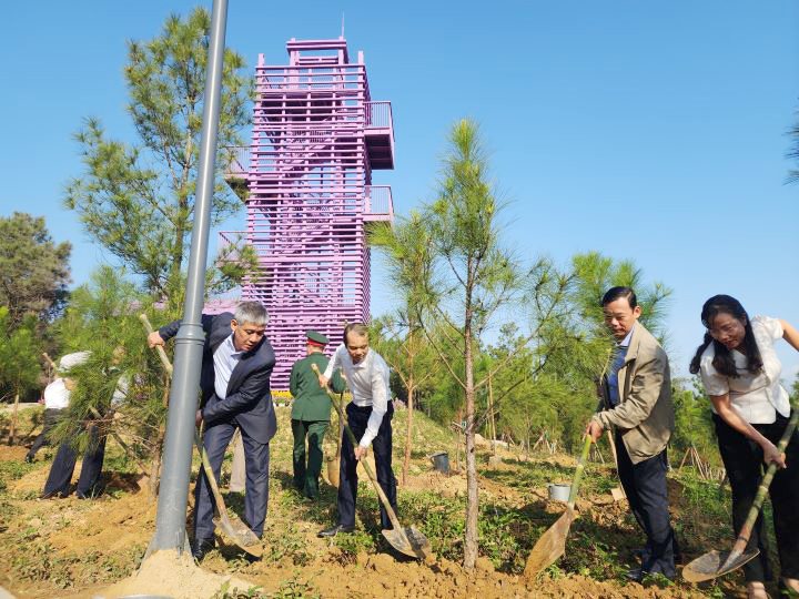 rs-tp-hue-phat-dong-tet-trong-cay-giap-thin-2024-2024-2-.jpg