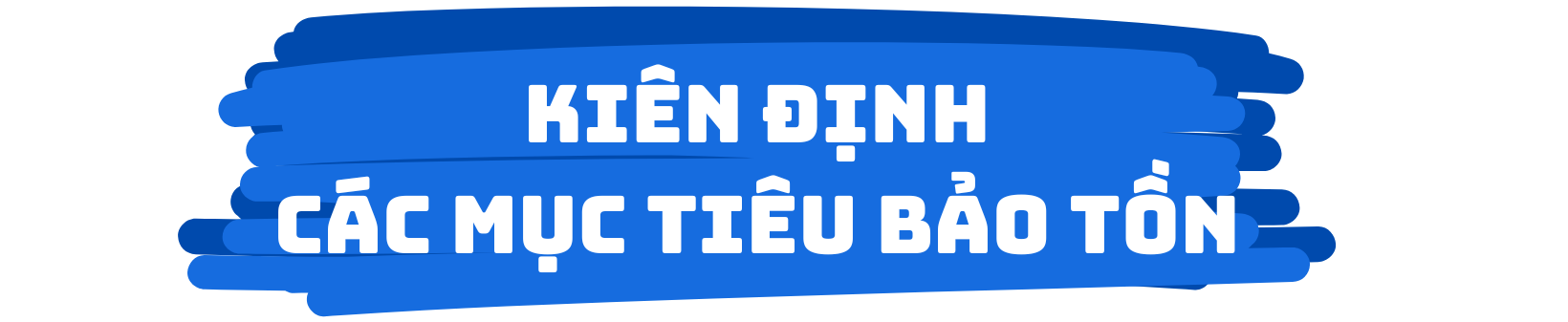bai-1.png