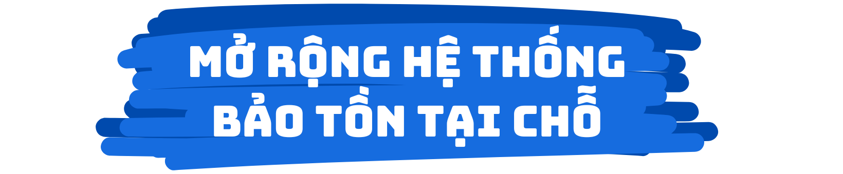 baif-2.png
