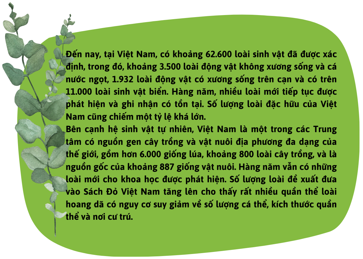 ban-sao-cua-chat-luong-nuoc-mat-moi-lo-ngai-lon-3-.png