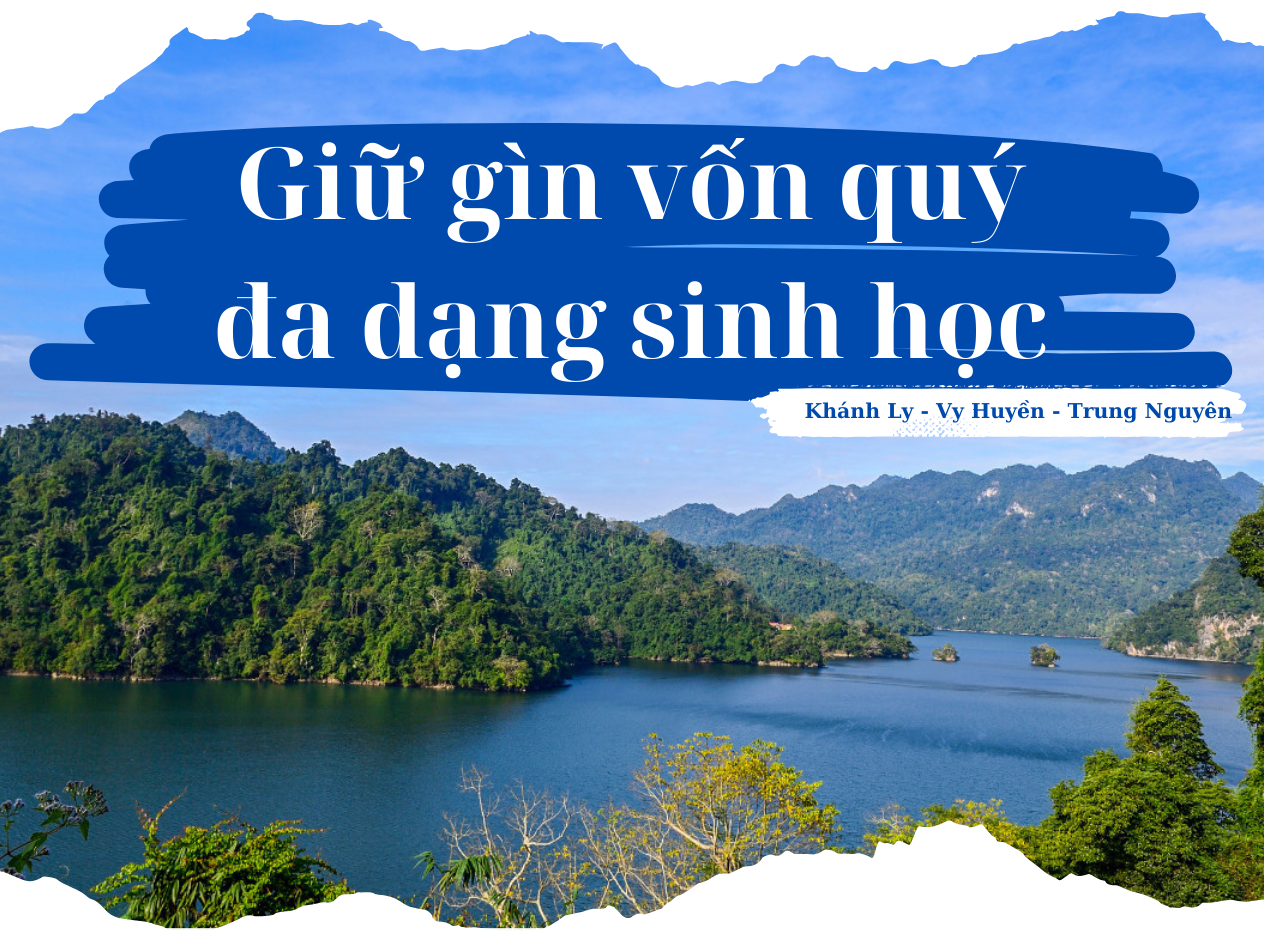 da-dang-sinh-hoc-2-.png