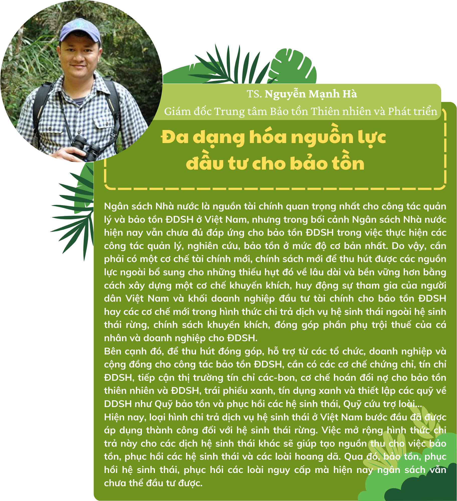 voi-do-che-phu-dat-63-yen-bai-la-dia-phuong-duoc-me-thien-nhien-uu-dai-nguon-vang-xanh-vo-cung-quy-gia.-rung-da-va-dang-dong-vai-tro-quan-trong-trong-qua-trinh-phat-trien-kinh-te-xa-hoi-cua-t-2-.png