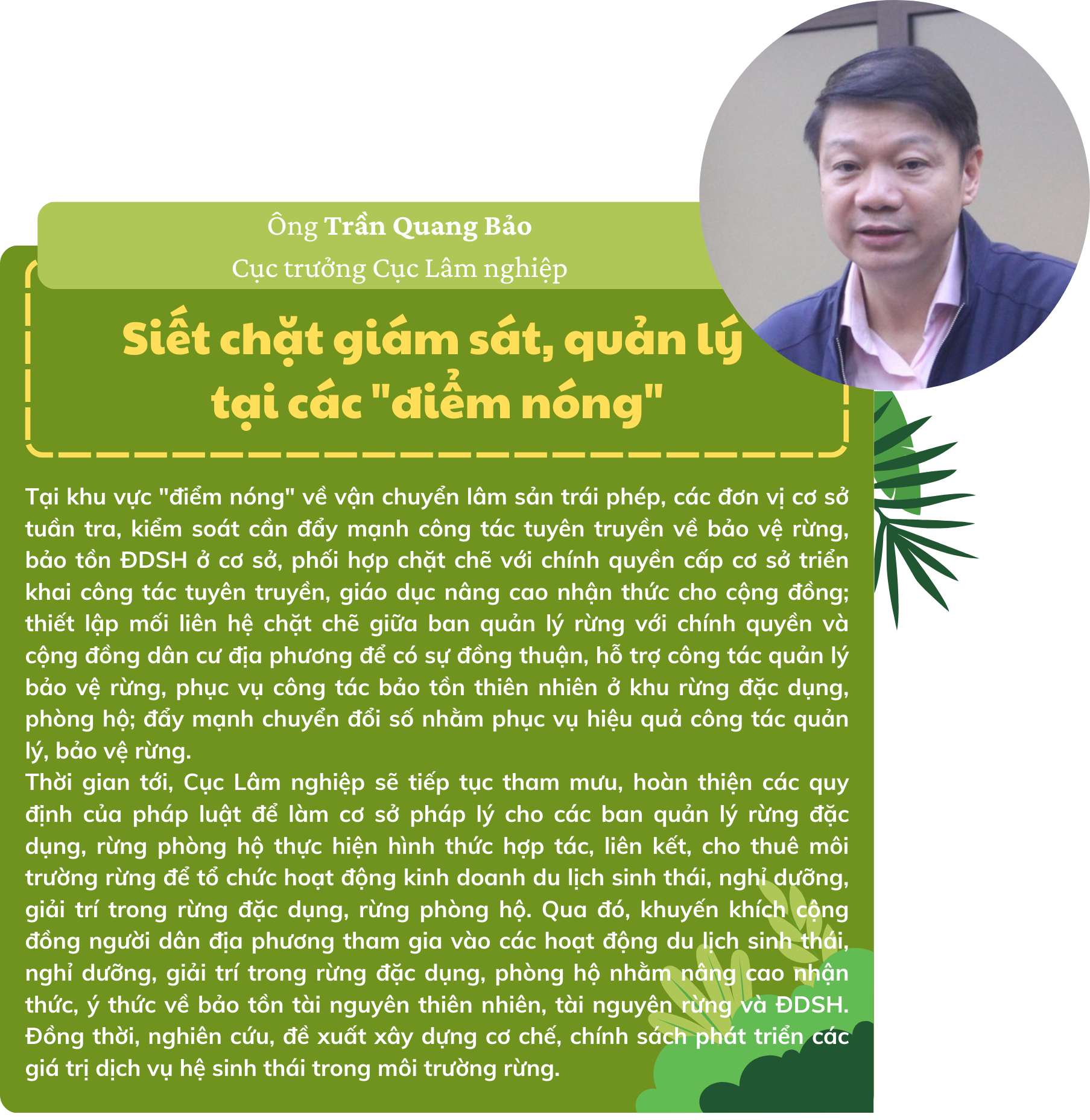 voi-do-che-phu-dat-63-yen-bai-la-dia-phuong-duoc-me-thien-nhien-uu-dai-nguon-vang-xanh-vo-cung-quy-gia.-rung-da-va-dang-dong-vai-tro-quan-trong-trong-qua-trinh-phat-trien-kinh-te-xa-hoi-cua-t-4-.png