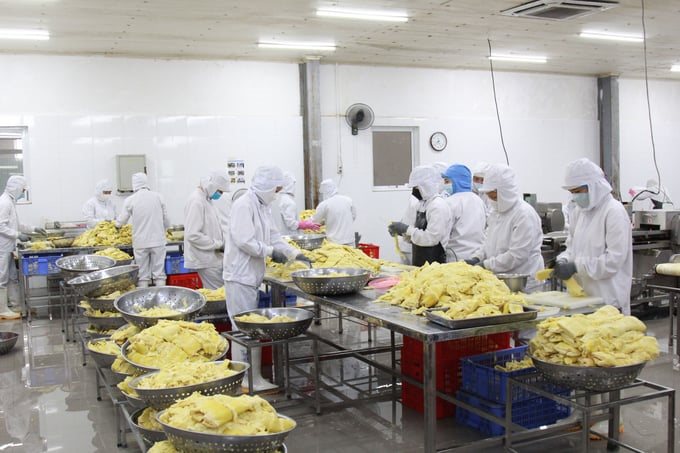 cay-hanh-phuc-cua-nguoi-dan-tran-yen-yen-bai-1600_20221020_348-164840(1).jpeg