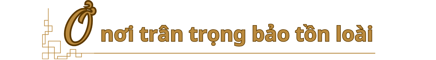 tit-4.png