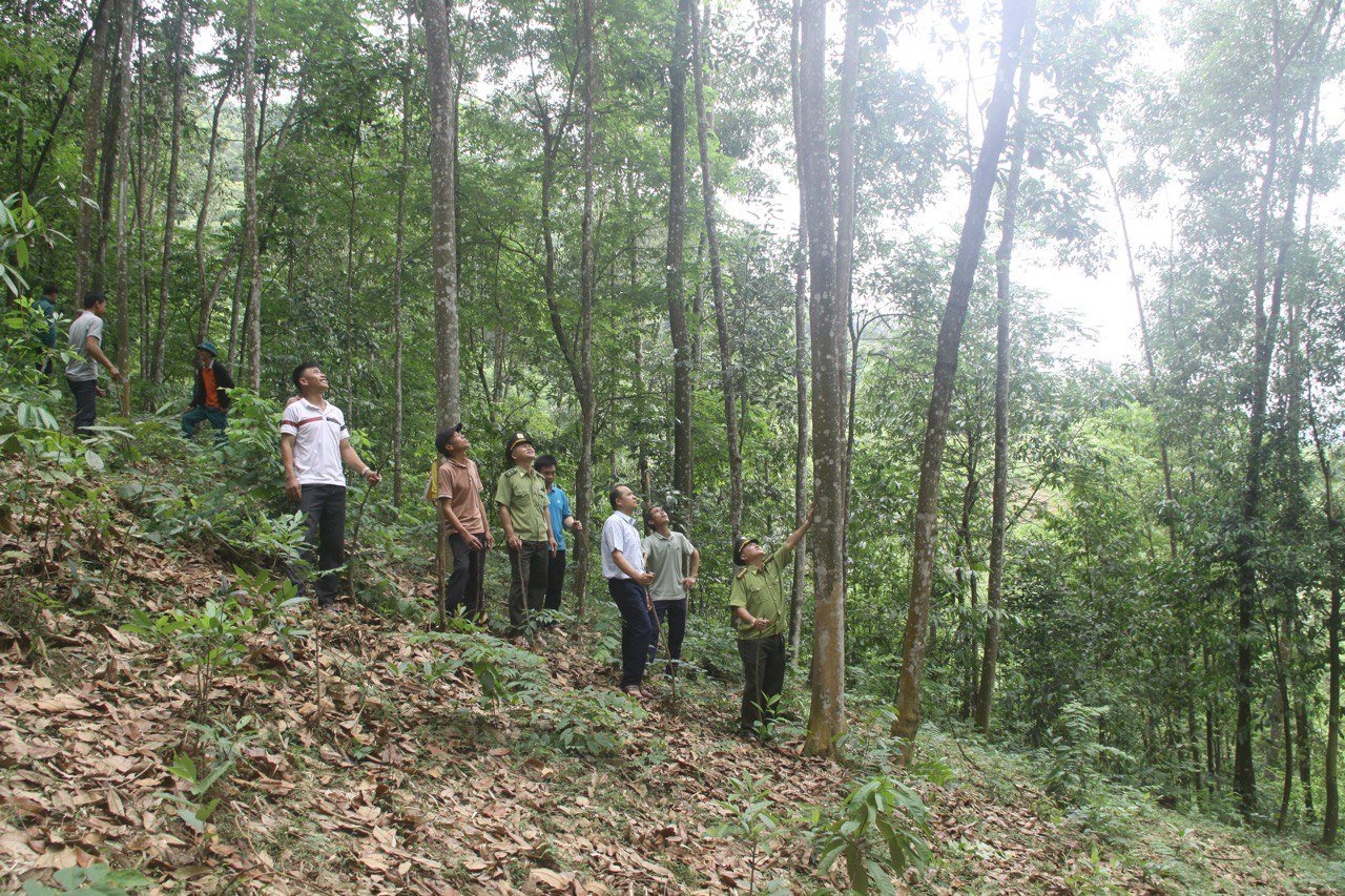 xa-ca-nang-tang-cuong-cong-tac-bao-ve-phat-trien-rung-phong-chay-chua-chay-rung.jpg
