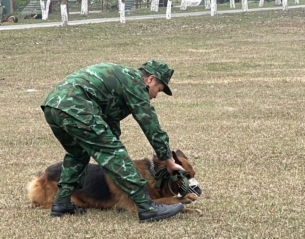 z5202404005107_76369beaae703a4b4c3ee3d5be450f28.jpg