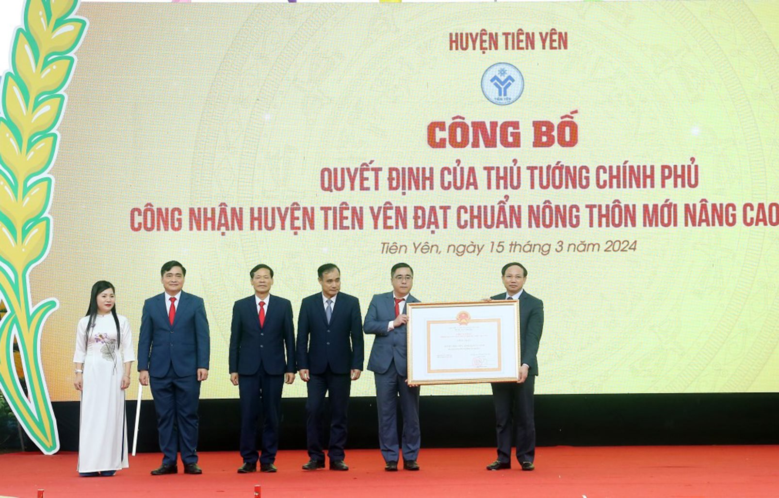 anh-qn-001.jpg