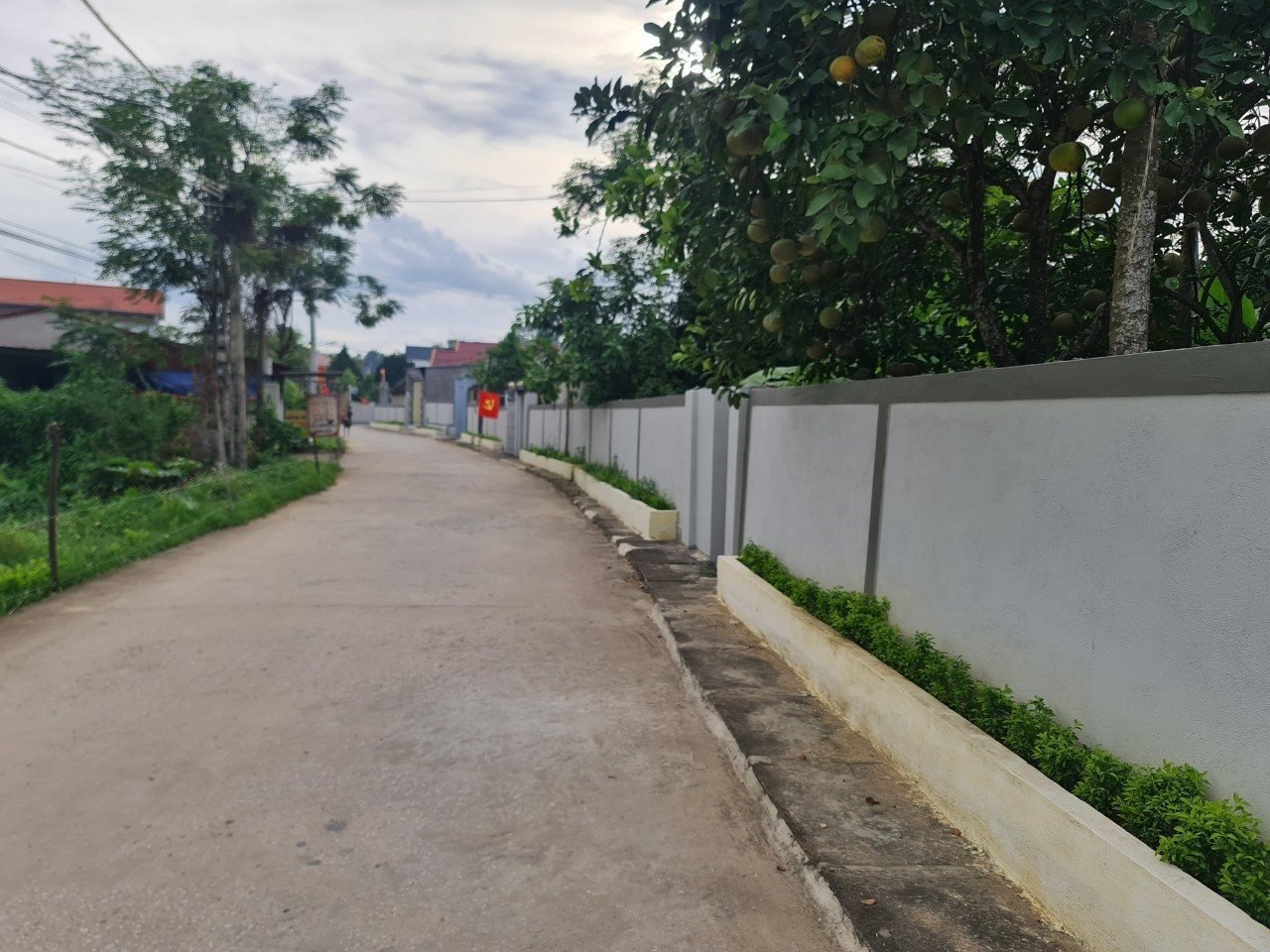 hd1.jpg