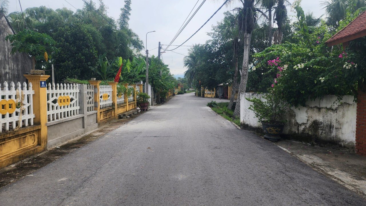 hd2.jpg