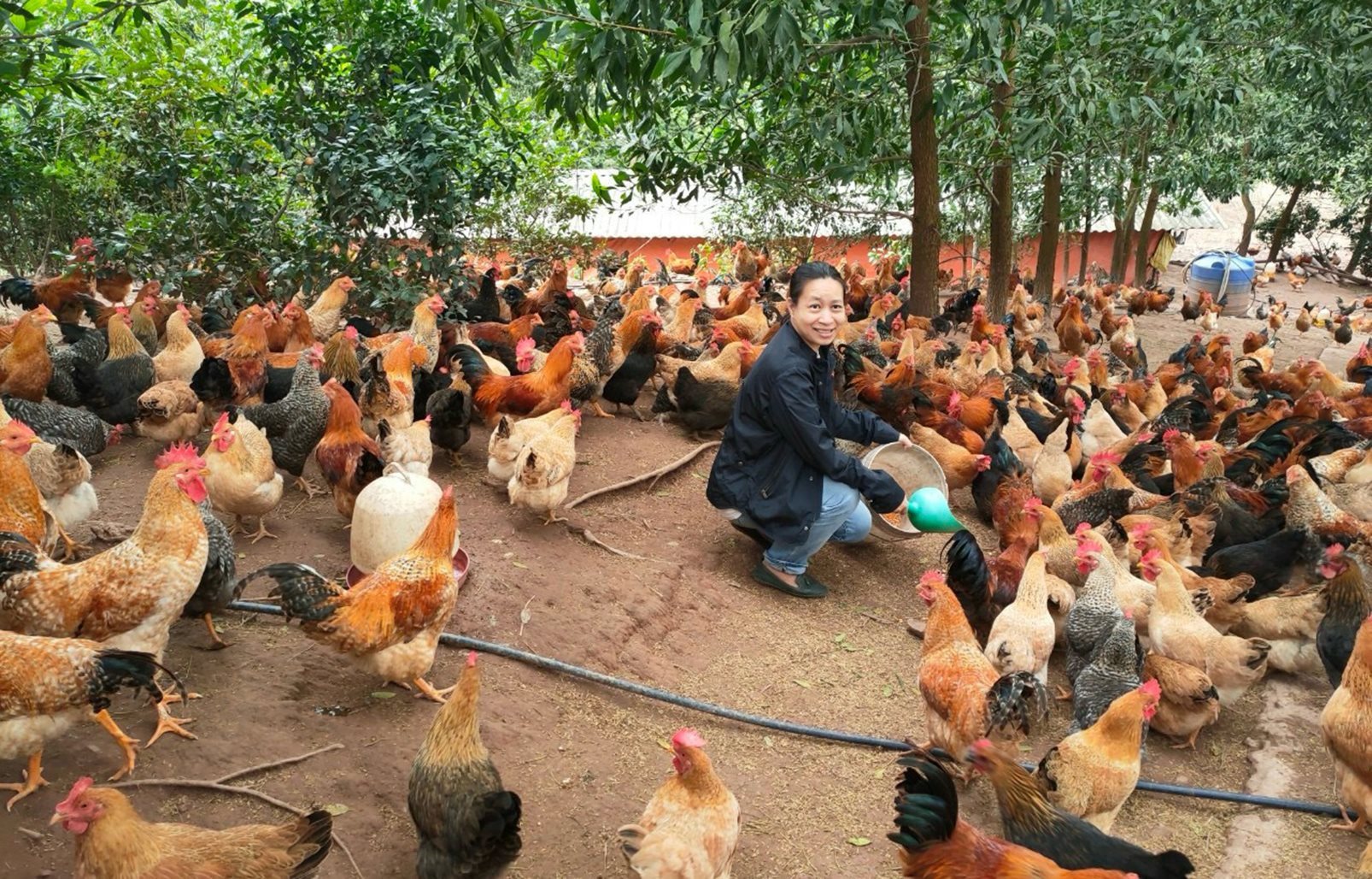 anh-ty-002.jpg