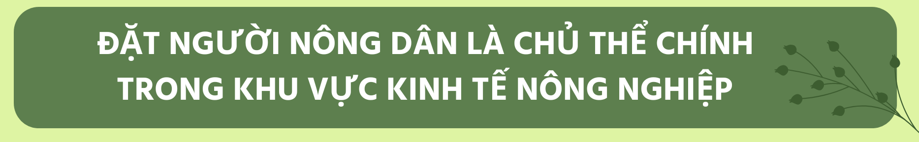 tit-dan-1.png