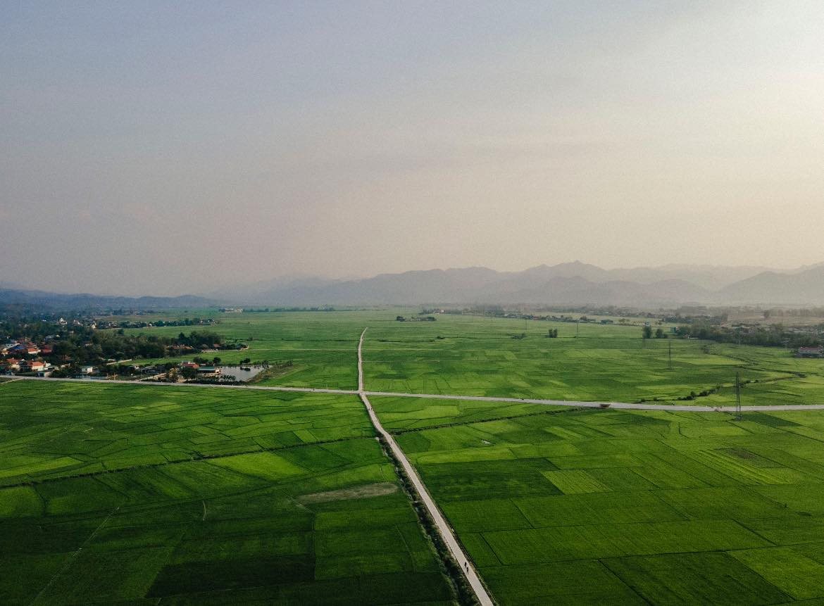 anh-5-canh-dong-muong-thanh.jpg