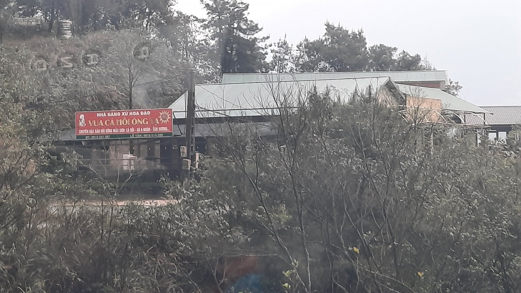 20240325_114830.jpg