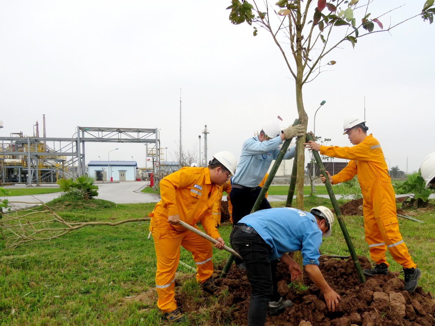 3-khp-trong-cayjfif20240412104931.jpg