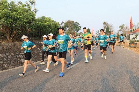 a6.jpg