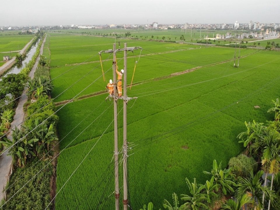 cong-nhan-dien-luc-hai-hau-nam-dinh-kiem-tra-su-lo-tren-duong-day-trung-the-22-kv.jpg