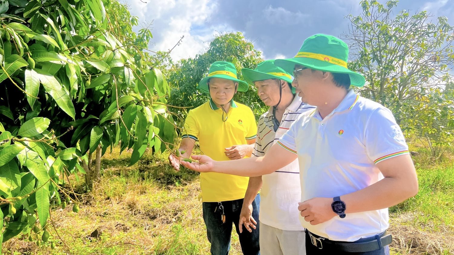 su-tin-yeu-ung-ho-cua-nhung-khach-hang-dai-ly-than-thiet-tai-nuoc-ban-chinh-la-dong-luc-to-lon-thuc-day-phan-bon-ca-mau-dat-duoc-nhung-thanh-cong-dang-tu-hao20240415174936.jpg