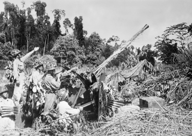 3.-phao-cao-xa-cua-ta-danh-tra-quyet-liet-may-bay-dich-o-dien-bien-phu.-anh-ttxvn(1).png