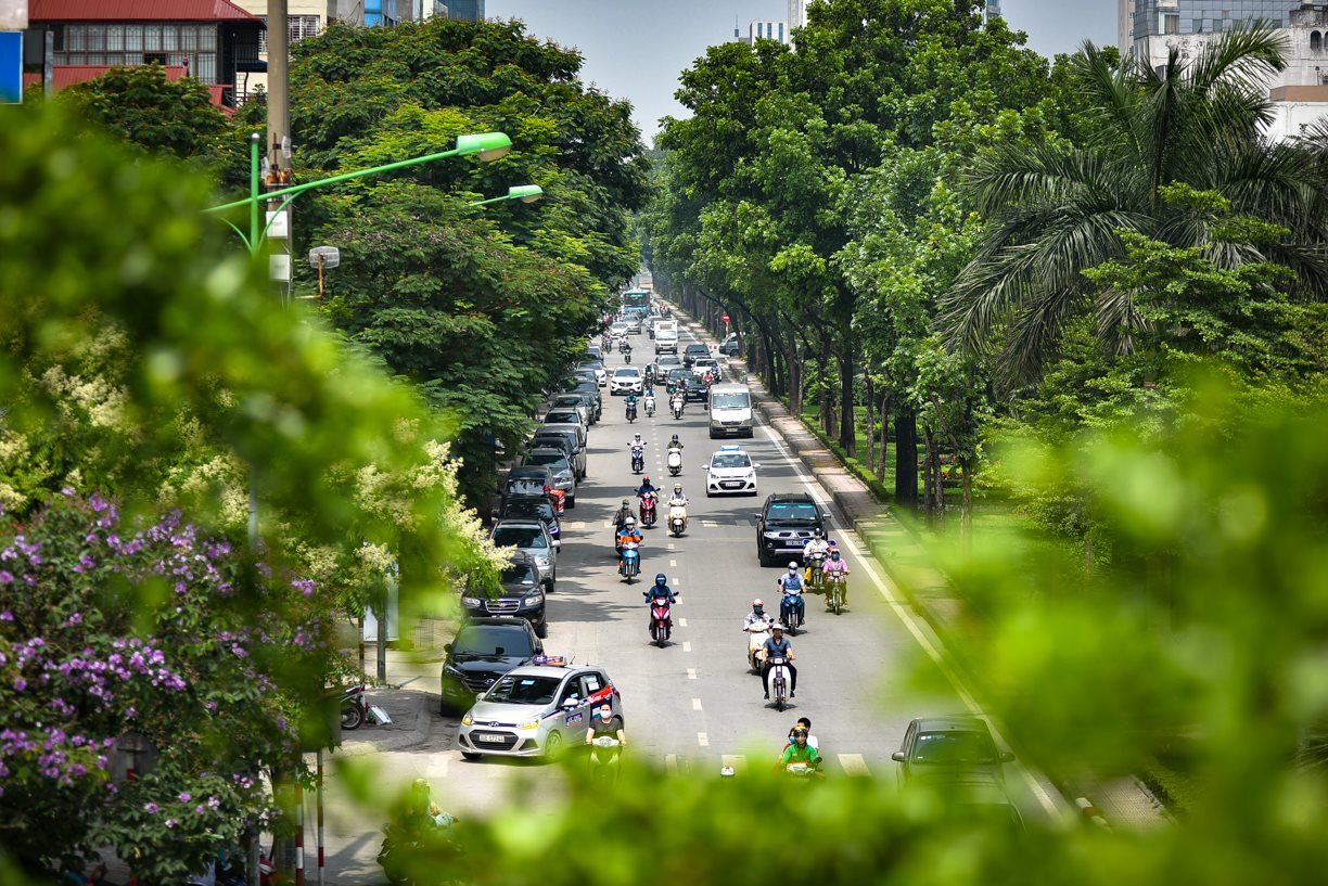 nangnong-5-5-anh3.jpg