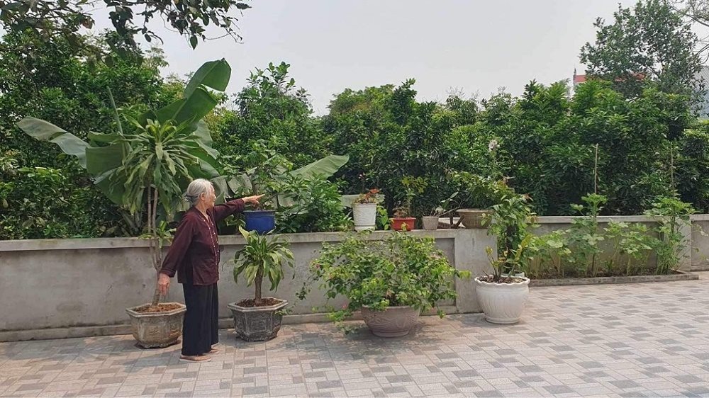 sai-pham-thu-hoi-dat-o-bac-giang-1.jpg