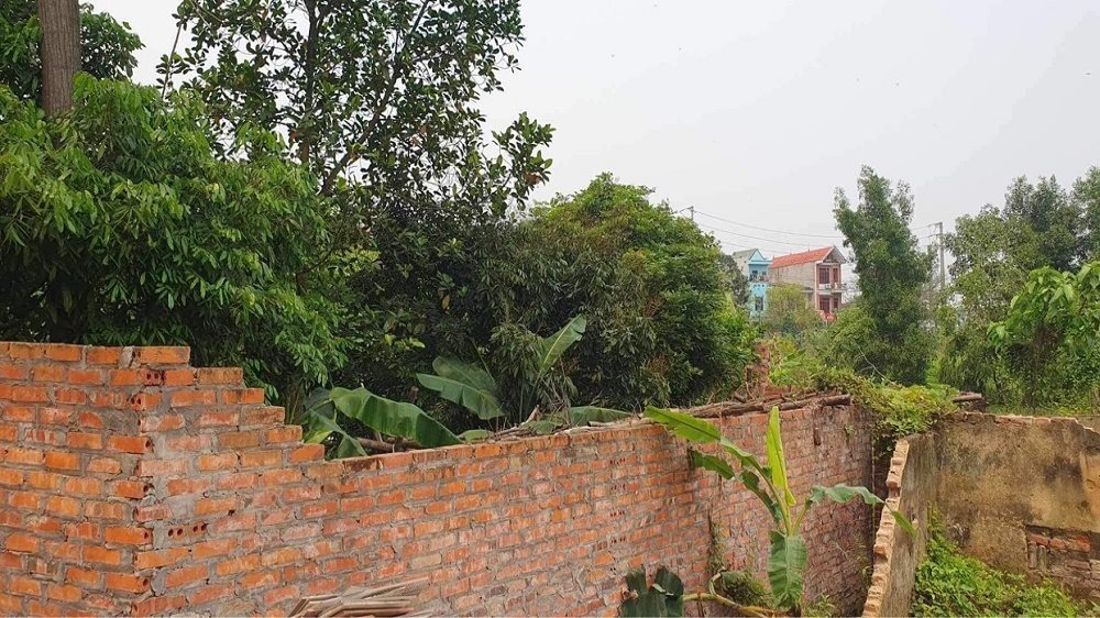 sai-pham-thu-hoi-dat-o-bac-giang-2.jpg
