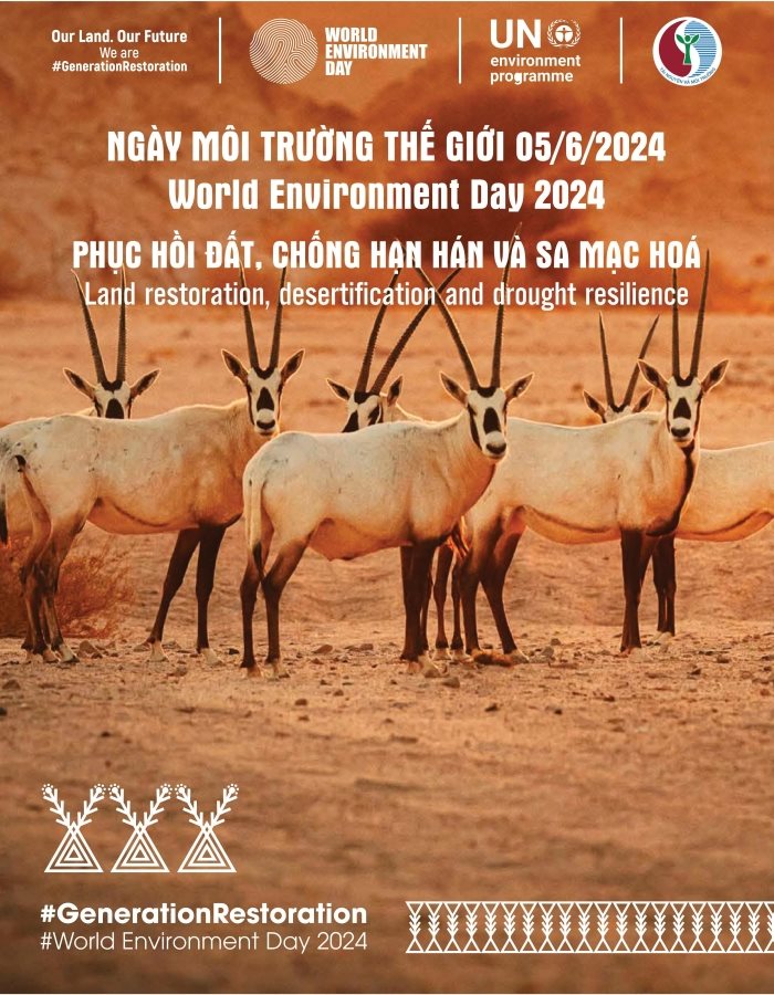 poster.jpg