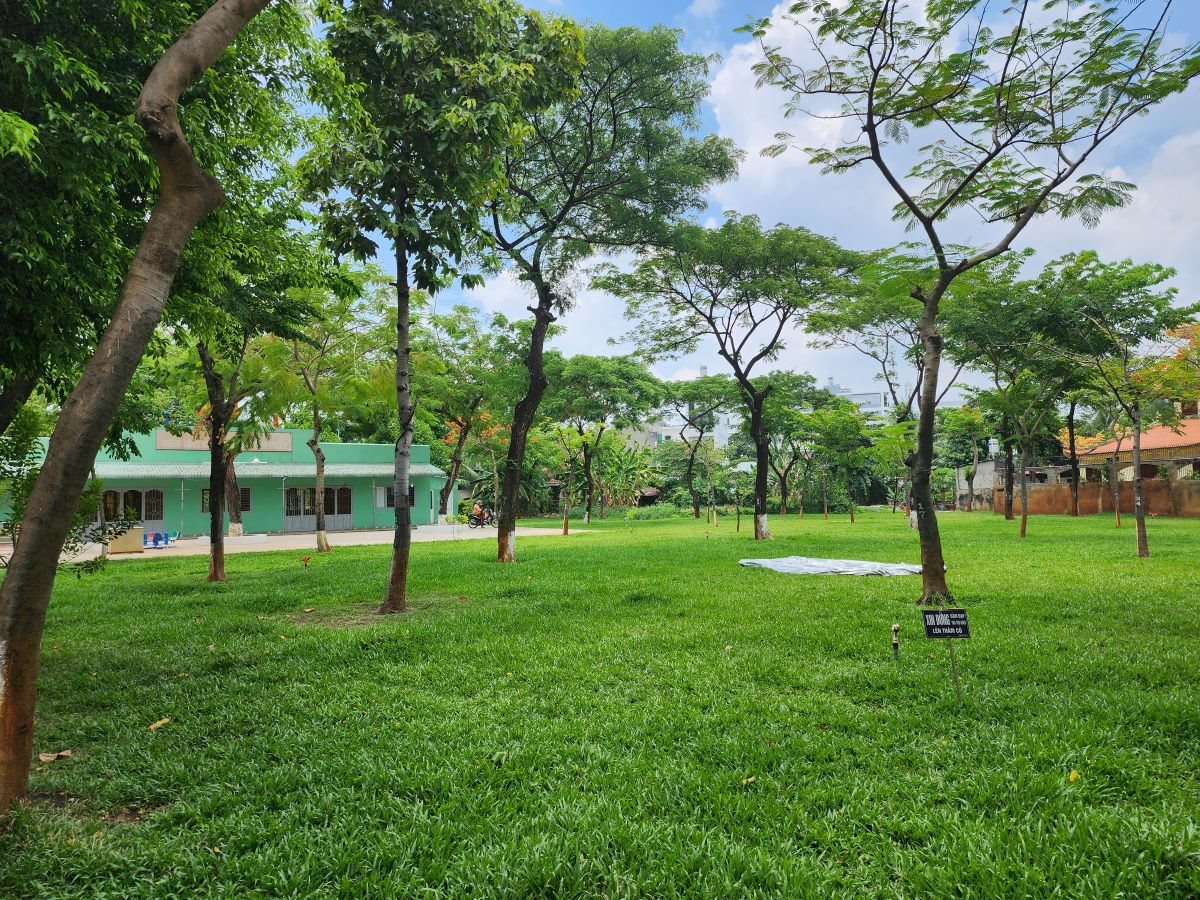 cay-xanh.jpg