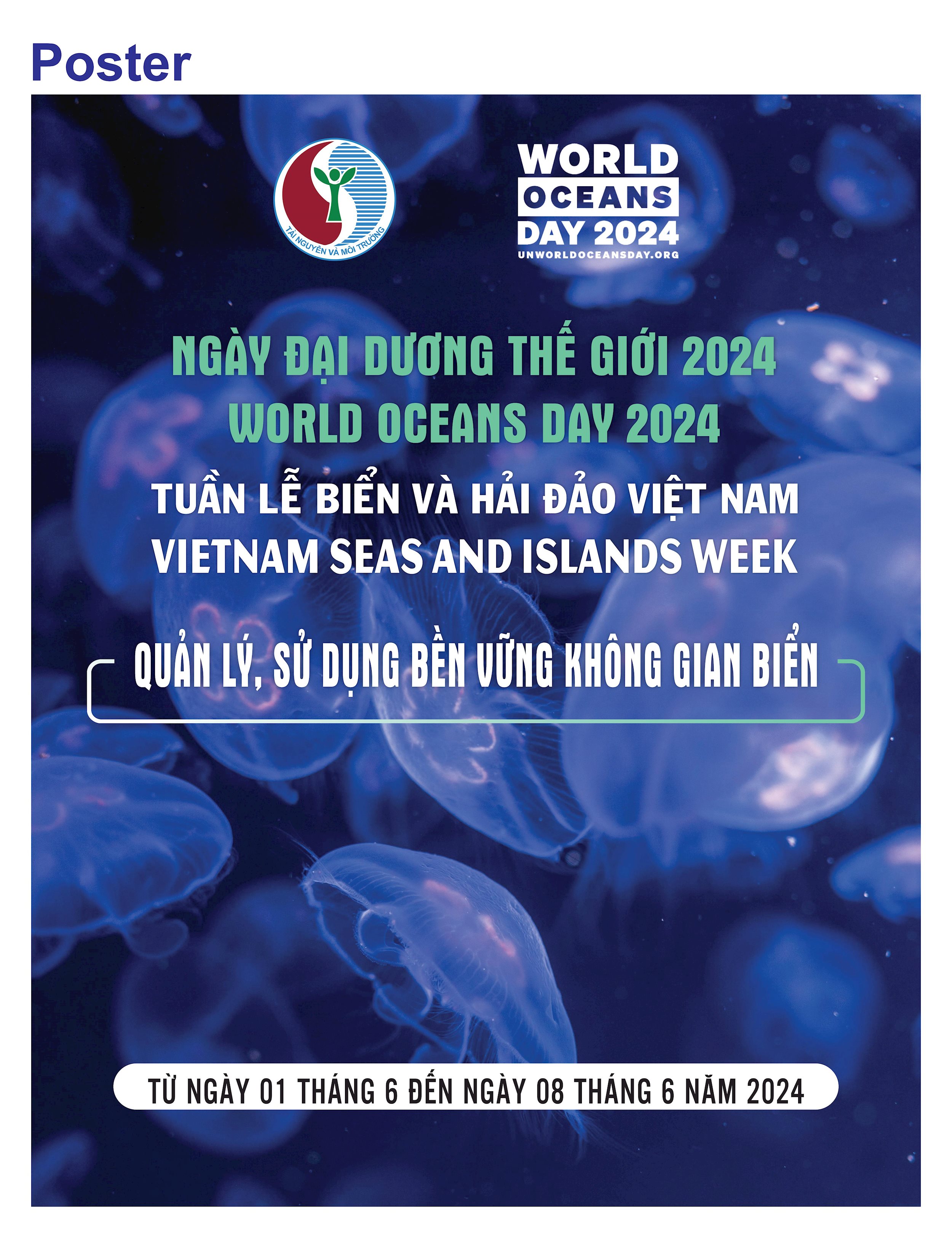 ngay-dai-duong-the-gioi-tuan-le-bien-va-hai-dao-viet-nam-2024-hinh-anh-0(1).jpg