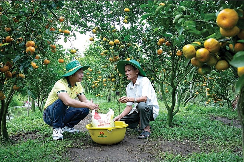 pvcfc-don-luc-cho-3-mui-nhon-20240515081753.jpg