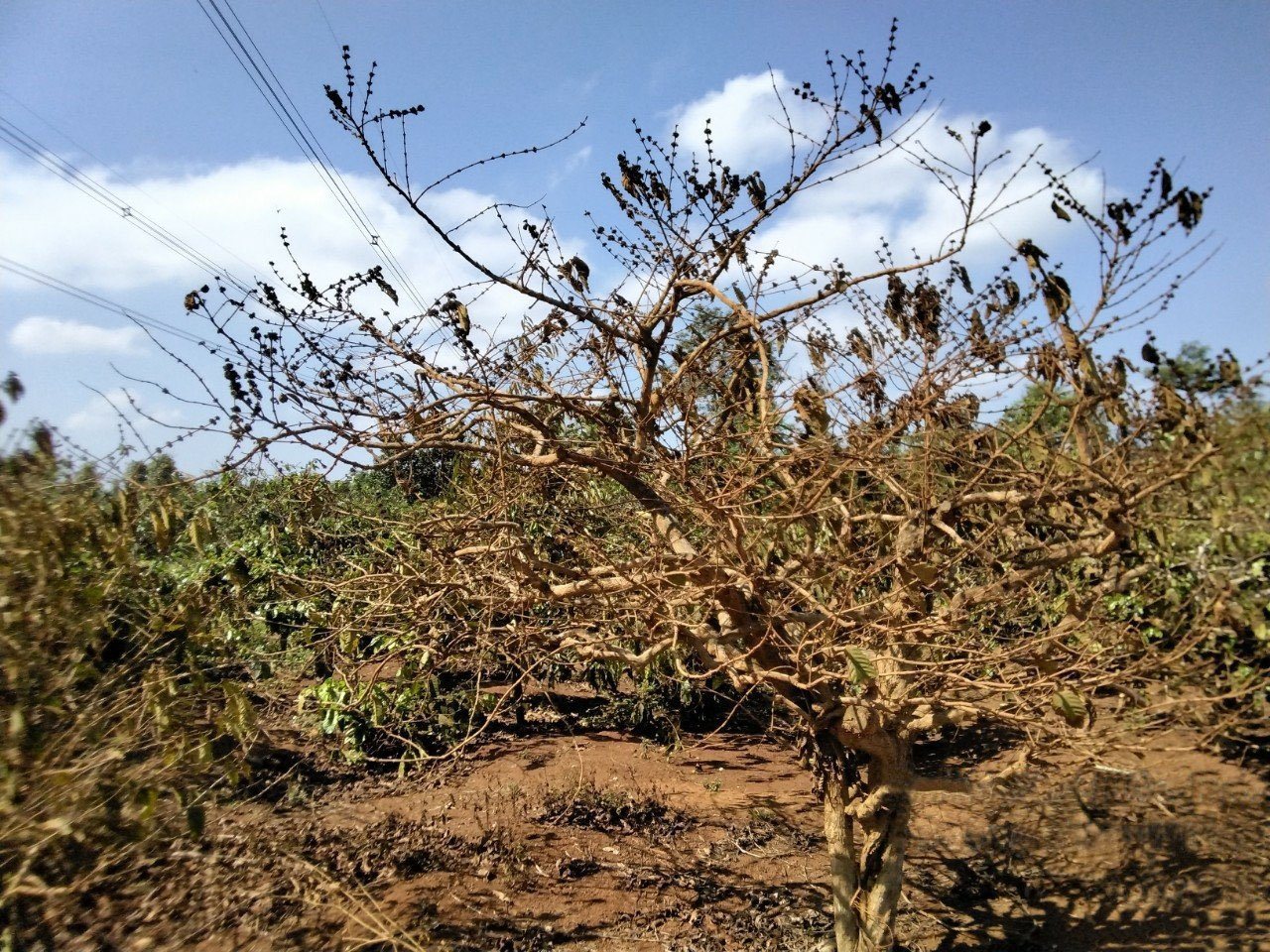 bien-doi-kh-dak-lak-1.jpg