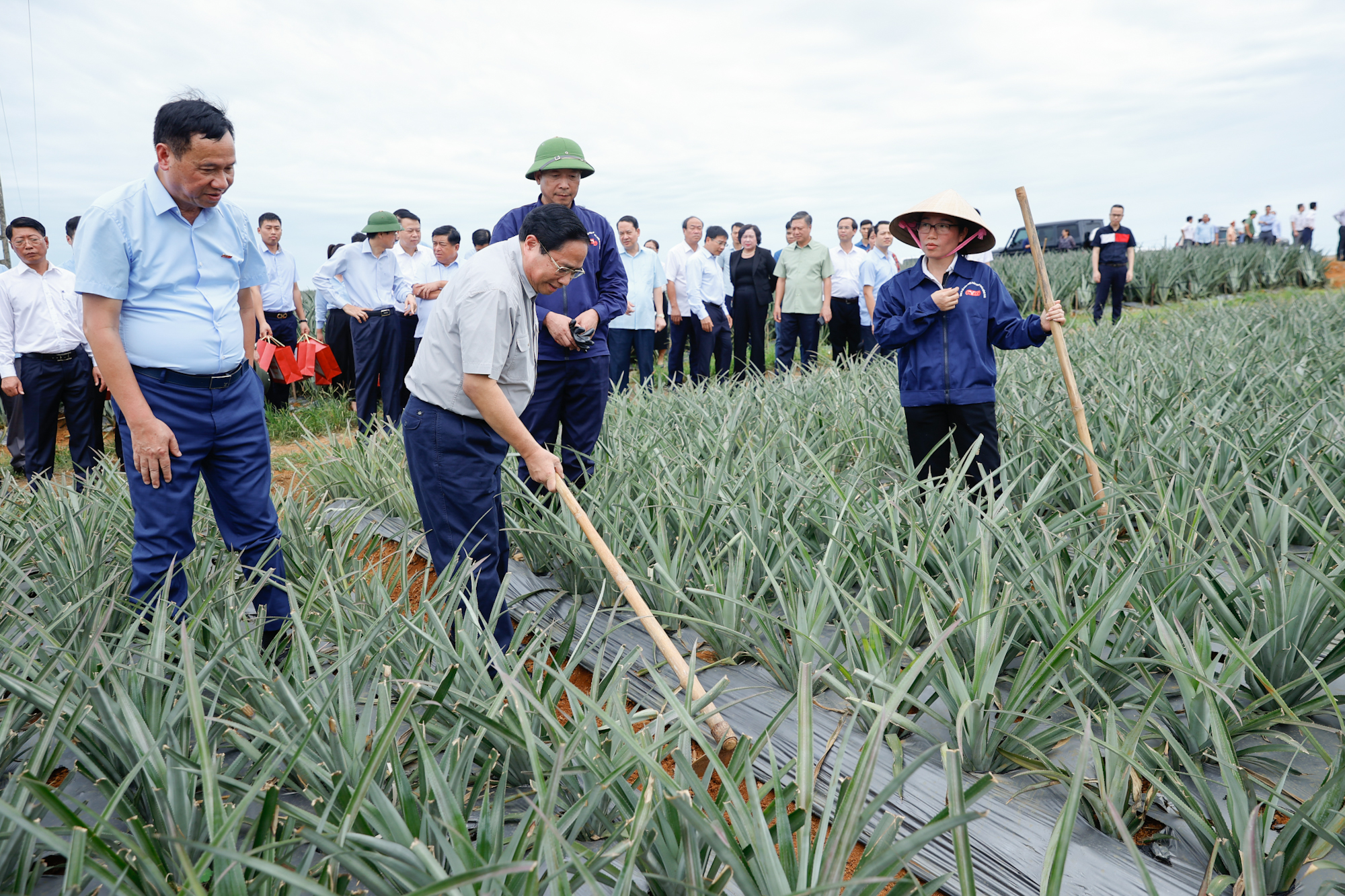 Thủ tướng Phạm Minh Chính khảo sát một số cơ sở, công trình trọng điểm tại Ninh Bình- Ảnh 3. Thủ tướng Phạm Minh Chính khảo sát một số cơ sở, công trình trọng điểm tại Ninh Bình- Ảnh 3.