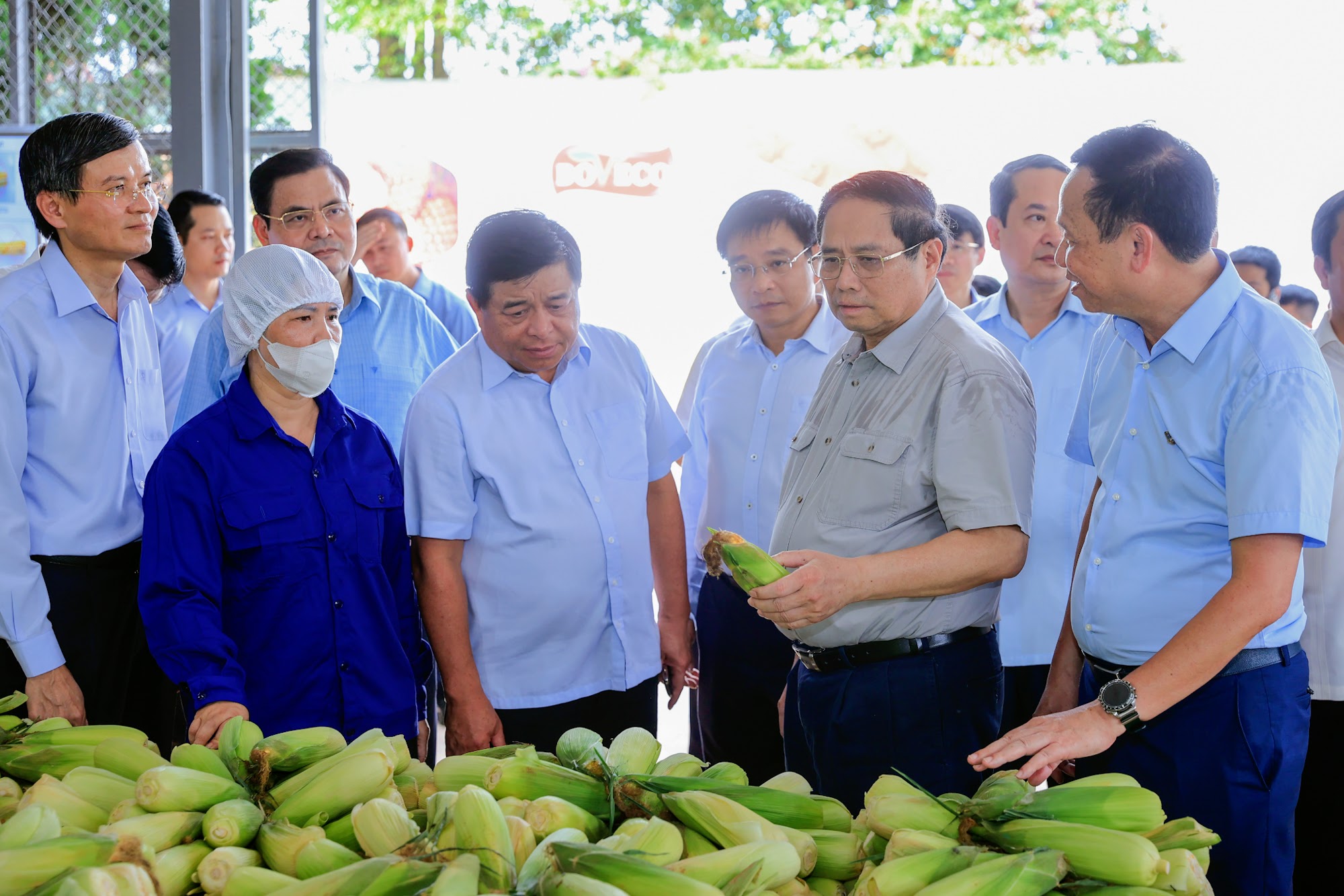 Thủ tướng Phạm Minh Chính khảo sát một số cơ sở, công trình trọng điểm tại Ninh Bình- Ảnh 6. Thủ tướng Phạm Minh Chính khảo sát một số cơ sở, công trình trọng điểm tại Ninh Bình- Ảnh 6.