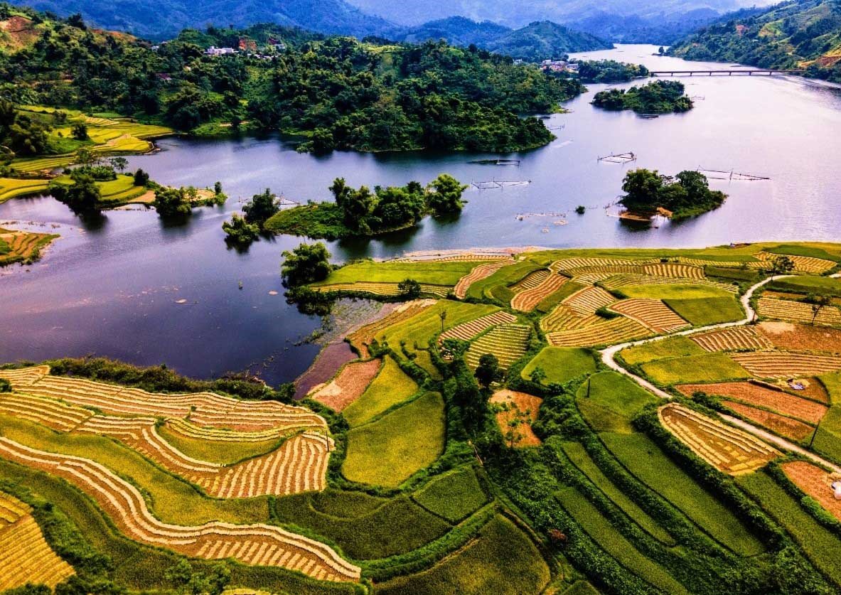 hong-thai-na-hang-tuyen-quang-12.jpg