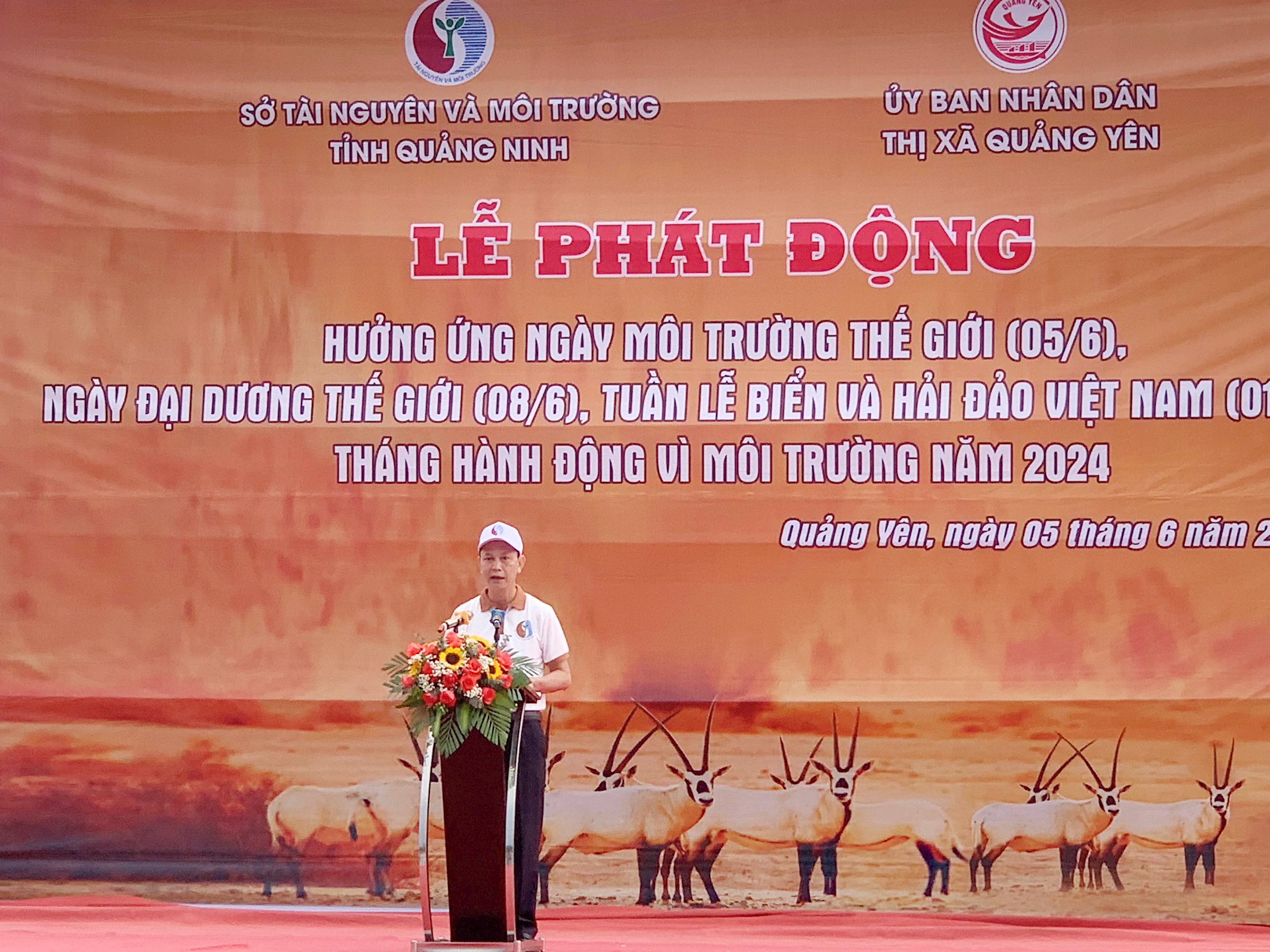 anh-qy-02.jpg
