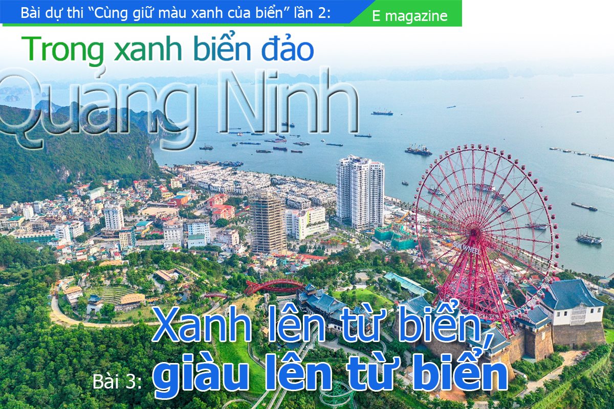 e-qn.jpg
