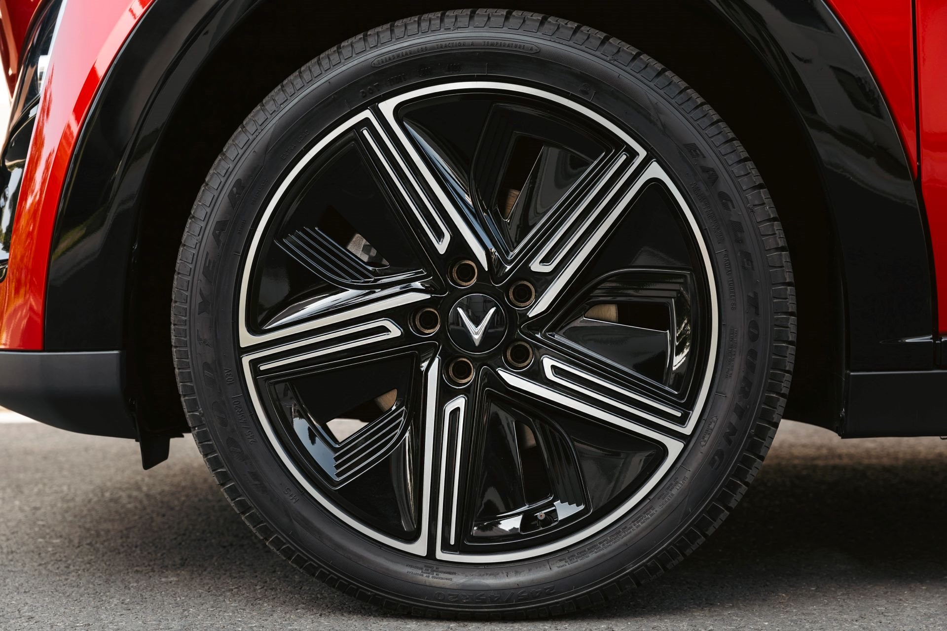 a6.jpg