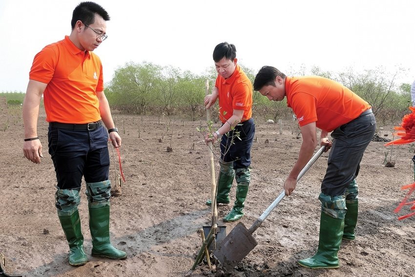 pvep-hanh-dong-thich-ung-voi-chuyen-dich-nang-luong-20240515084041.jpg