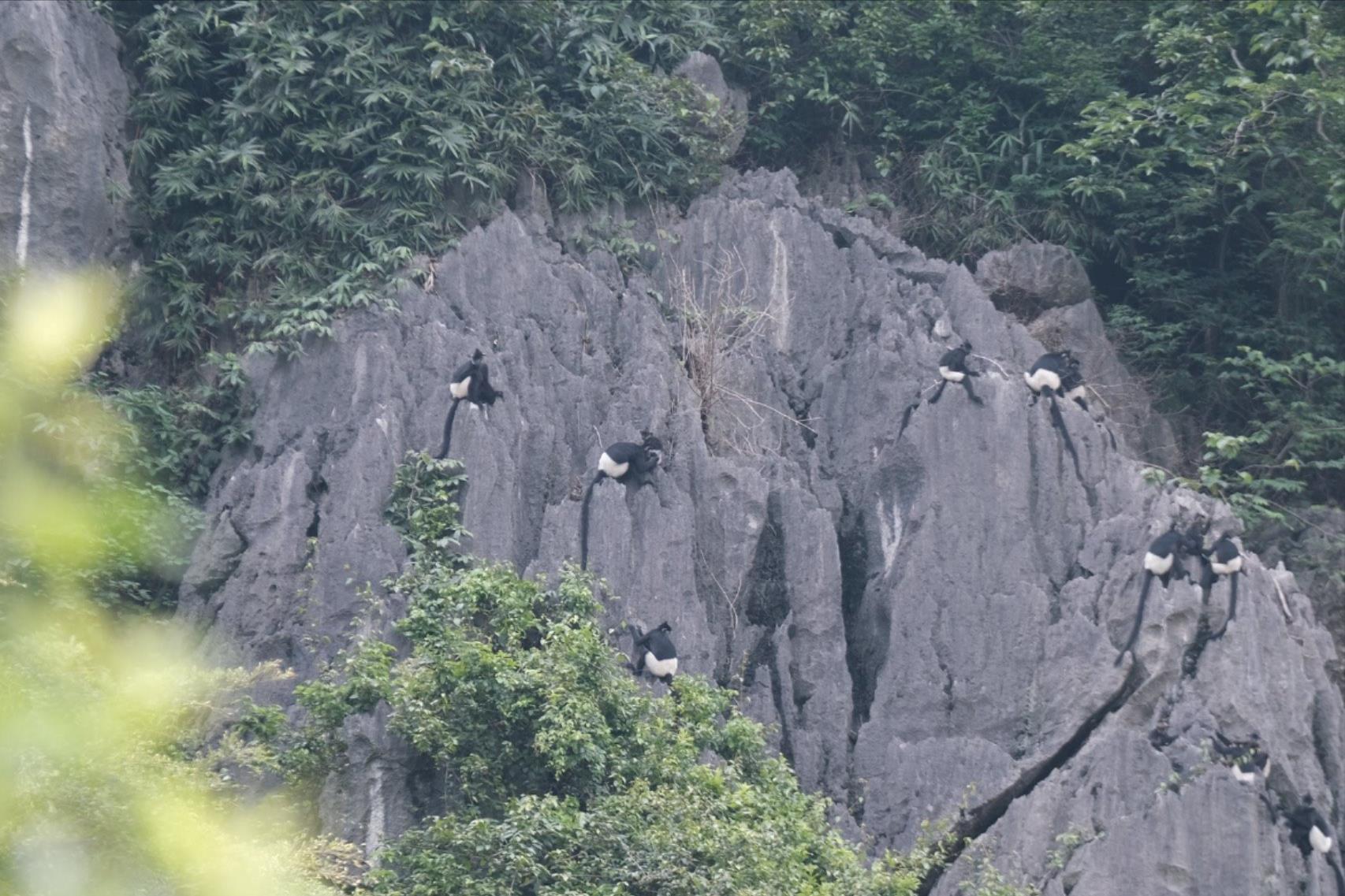bao-chi-chung-tay-bao-ton-da-dang-sinh-hoc5(1).jpg