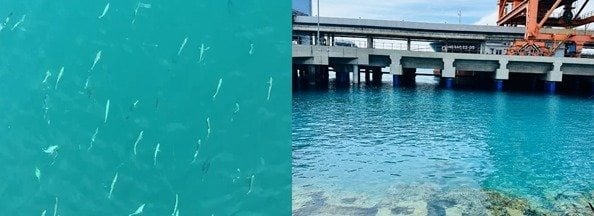 5123_z5526944816242_cde7df703c5e3ba49106b0b94eb079bf.jpg