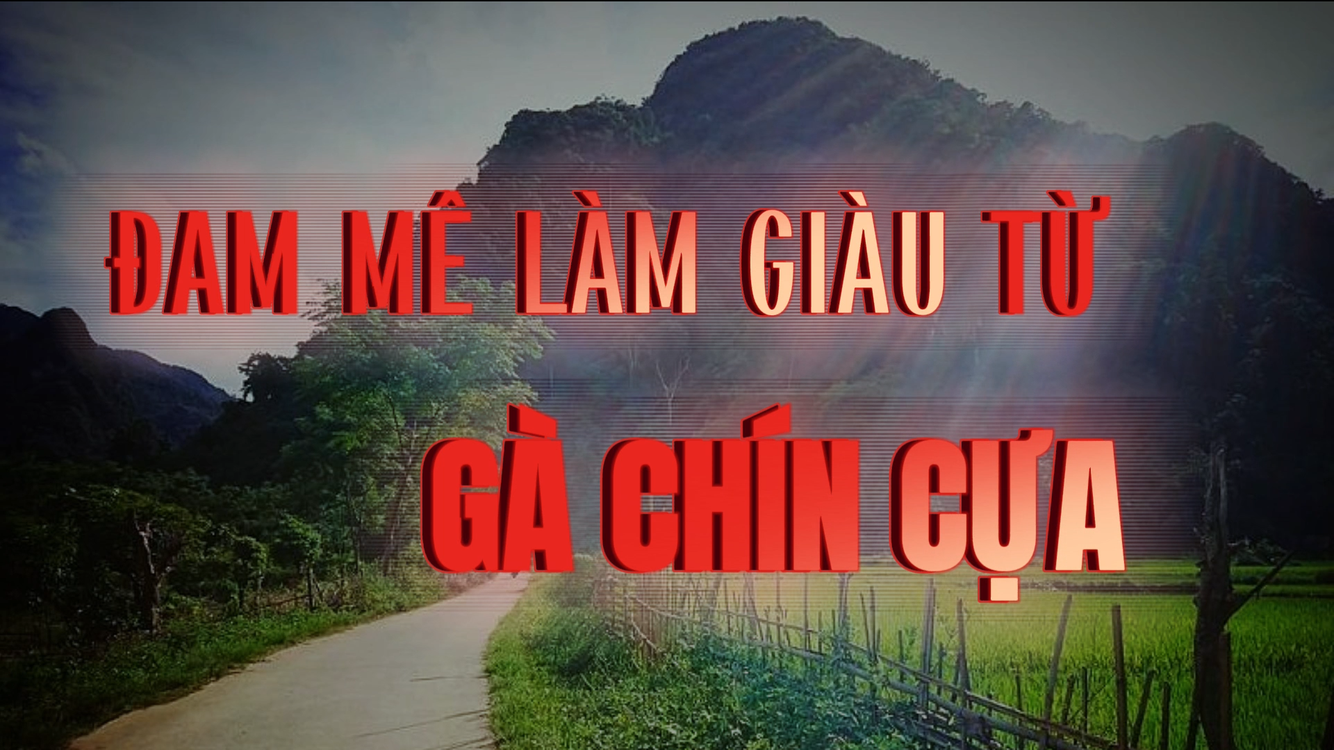 bia-dam-me-lam-giau-tu-ga-chin-cua.png