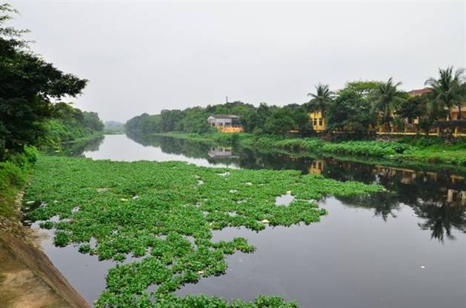 song-nhue.jpg