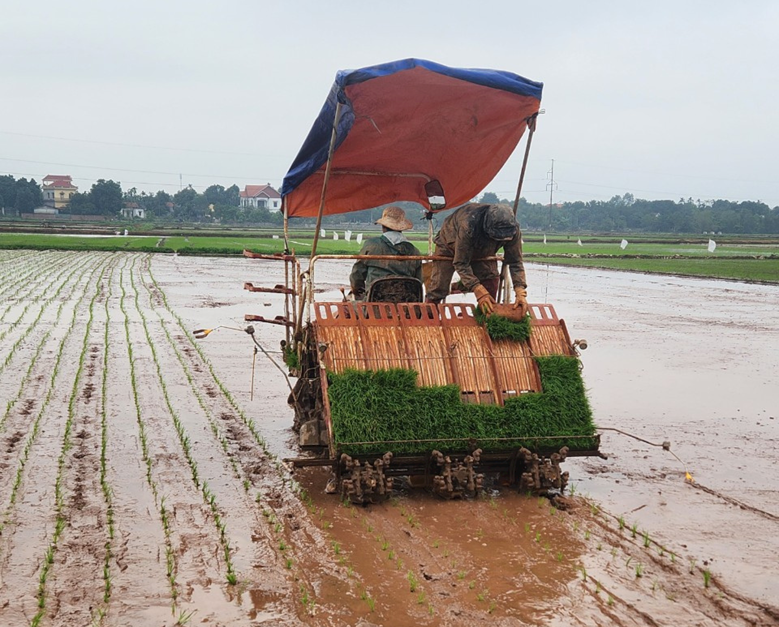 mo-hinh-vinh-phuc.png