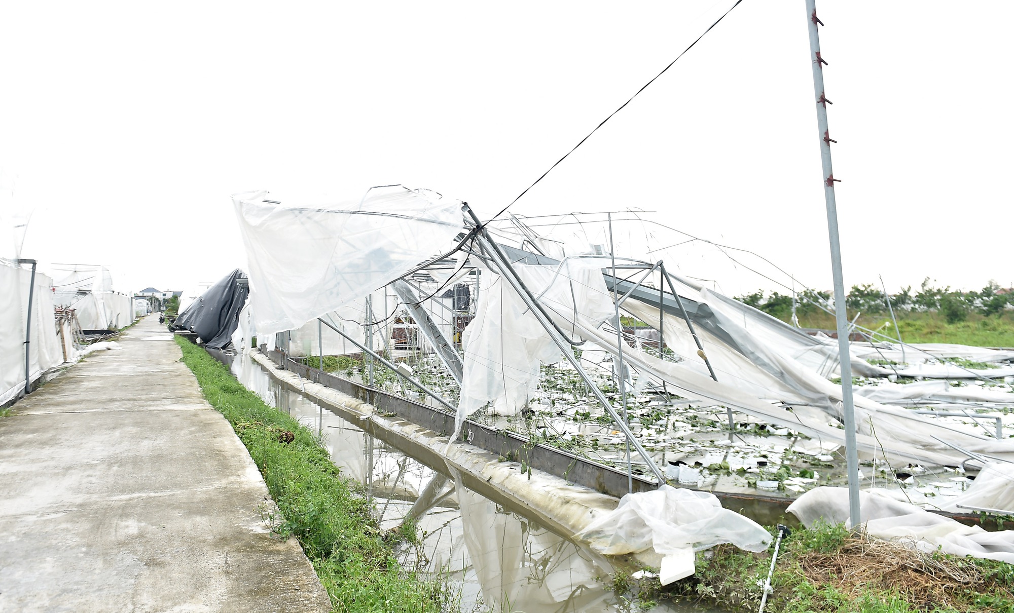 Phó Thủ tướng Lê Thành Long kiểm tra công tác khắc phục hậu quả bão số 3 tại Hải Dương- Ảnh 2. Phó Thủ tướng Lê Thành Long kiểm tra công tác khắc phục hậu quả bão số 3 tại Hải Dương- Ảnh 2.